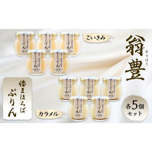 ふるさと納税 菓子 プリン 奈良県 大和郡山市 プリン 詰め合わせ 大和まほろば翁豊ぷりん 10個入り こいきみ カラメル 各5個セット 奈良県 大和郡山市 スイー…