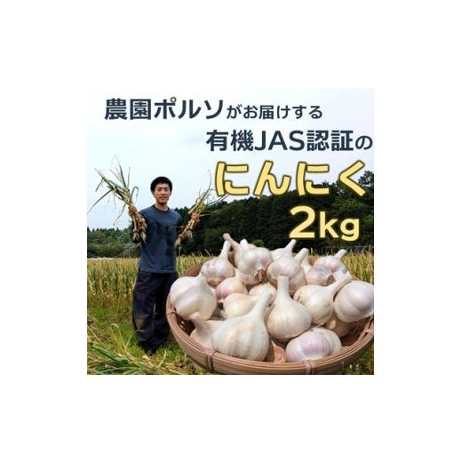 ふるさと納税 野菜類 薬味 大分県 臼杵市 有機JAS認証 にんにく2kg オーガニック 栽培期間中農薬・化学肥料不使用