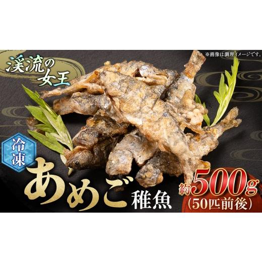 ふるさと納税 旬の鮮魚等 高知県 四万十町 無投薬 内臓処理済み 希少稚魚 四万十川支流の清らかな水だけで育てたあめご(稚魚) 50匹前後(500g)冷凍/Eay-0…