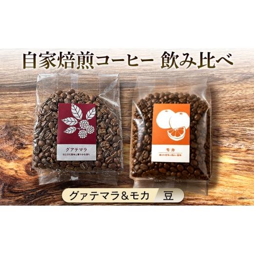 ふるさと納税 コーヒー コーヒー豆 佐賀県 鳥栖市 厳選2種 芳醇なフルーティー飲み比べセット・自家焙煎コーヒー(豆)(グァテマラ221g、モカ285g)