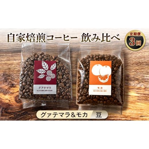 ふるさと納税 コーヒー コーヒー豆 佐賀県 鳥栖市 厳選2種の3ヶ月定期便 芳醇なフルーティー飲み比べセット・自家焙煎コーヒー(豆)(グァテマラ221g、モカ28…