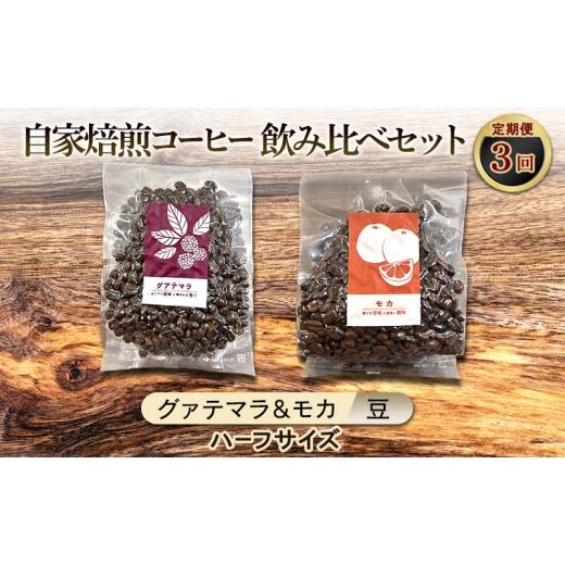 ふるさと納税 コーヒー コーヒー豆 佐賀県 鳥栖市 厳選2種の3ヶ月定期便 芳醇なフルーティー飲み比べセット・自家焙煎コーヒー (ハーフサイズ豆)(グァテマラ1…