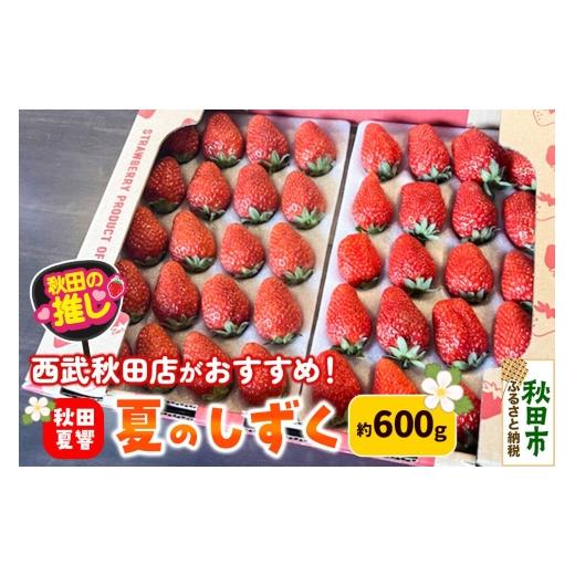 ふるさと納税 いちご 秋田県 秋田市 西武秋田店がおすすめする秋田の推し 秋田県産 いちご「秋田夏響」 なつひびき 約600g 先行受付 「夏のしずく」のブランド…