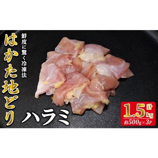 ふるさと納税 鶏肉 福岡県 春日市 はかた地どり ハラミ (計1.5kg・500g×3P) 真空パック 希少部位のはらみ 便利な小分け鶏肉 地鶏 地どり 鶏肉 九州 国産 ハラ…