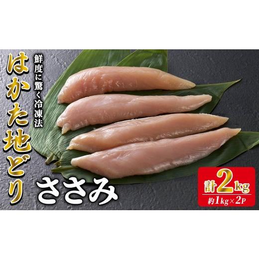 ふるさと納税 鶏肉 ささみ 福岡県 春日市 はかた地どり ささみ肉 (計2kg・1kg×2P) 真空パック ヘルシーなササミ 便利な小分け鶏肉 地鶏 地どり 鶏肉 九州 国…