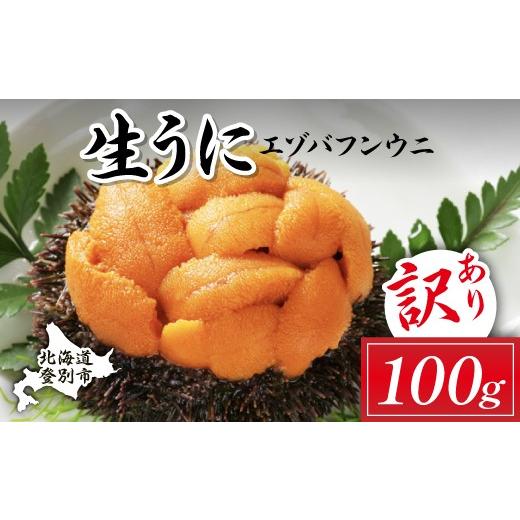 ふるさと納税 ウニ 北海道 登別市 ミョウバン不使用 訳あり 規格外品 無添加 エゾバフンウニ 塩水パック 100g 配送期間B:10月下旬〜11月下旬迄 うに ウニ 雲…
