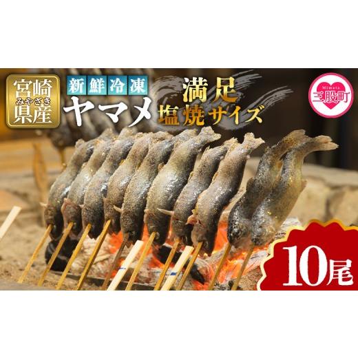 ふるさと納税 川魚 やまめ 宮崎県 三股町 新鮮冷凍ヤマメ 10尾 国産 九州産 尺ヤマメ 山女魚 水産物 魚 魚介 川魚 養殖魚 塩焼き MI771-sk 有限会社しゃくな…