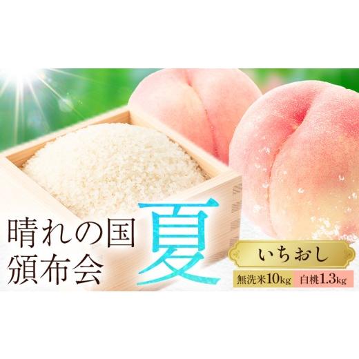 ふるさと納税 無洗米 岡山県 笠岡市 晴れの国頒布会 夏 いちおし 無洗米 10kg 白桃 1.3kg[ページ内記載の時期に発送]岡山県 笠岡市 フルーツ 旬 果物 桃 コ…