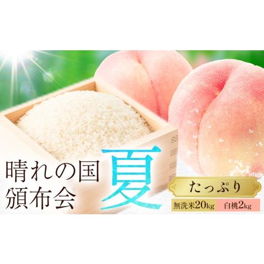 ふるさと納税 無洗米 岡山県 笠岡市 晴れの国頒布会 夏 たっぷり 無洗米 20kg 白桃 2kg[ページ内記載の時期に発送]岡山県 笠岡市 フルーツ 旬 果物 桃 コメ …
