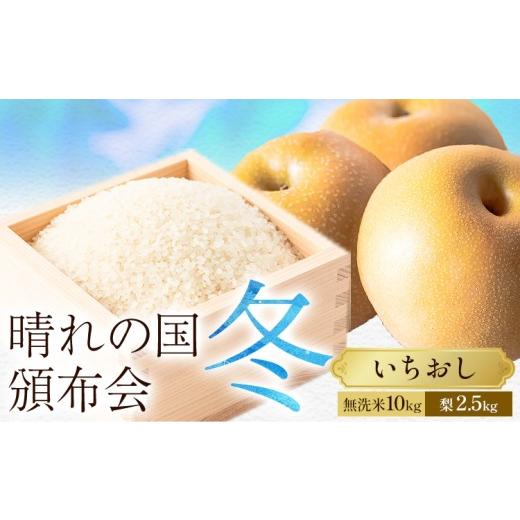 ふるさと納税 無洗米 岡山県 笠岡市 晴れの国頒布会 冬 いちおし 無洗米 10kg 梨 2.5kg[ページ内記載の時期に発送]岡山県 笠岡市 フルーツ 旬 果物 ナシ コ…