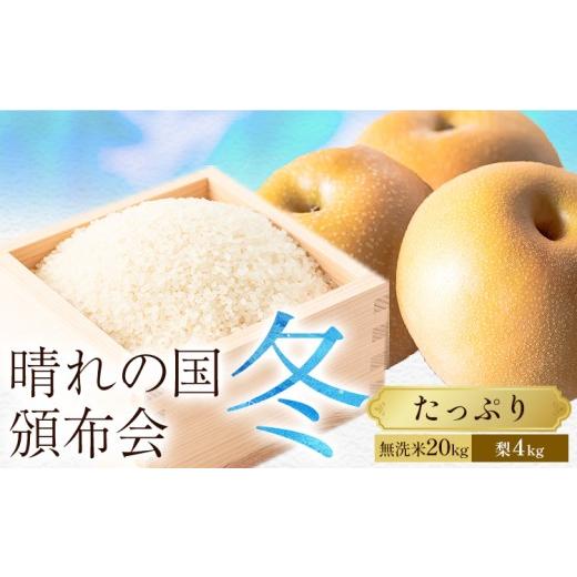 ふるさと納税 無洗米 岡山県 笠岡市 晴れの国頒布会 冬 たっぷり 無洗米 20kg 梨 4kg[ページ内記載の時期に発送]岡山県 笠岡市 フルーツ 旬 果物 ナシ コメ …
