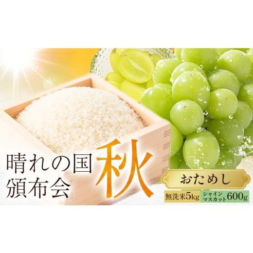 ふるさと納税 無洗米 岡山県 笠岡市 晴れの国頒布会 秋 おためし 無洗米 5kg シャインマスカット 600g[ページ内記載の時期に発送]岡山県 笠岡市 フルーツ 旬…