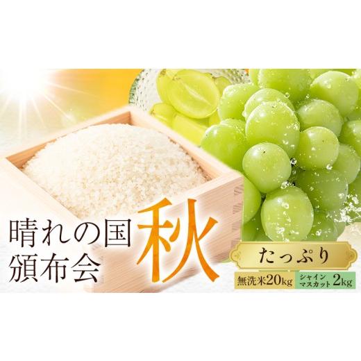 ふるさと納税 無洗米 岡山県 笠岡市 晴れの国頒布会 秋 たっぷり 無洗米 20kg シャインマスカット 2kg[ページ内記載の時期に発送]岡山県 笠岡市 フルーツ 旬…