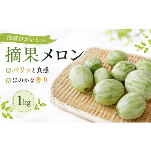 ふるさと納税 メロン メロン赤肉 徳島県 三好市 先行予約 7月出荷 摘果メロン 1kg 20玉 前後 徳島県産 希少 漬物 メロン 家庭用 浅漬 ぬか漬け 酒 日本酒 フ…