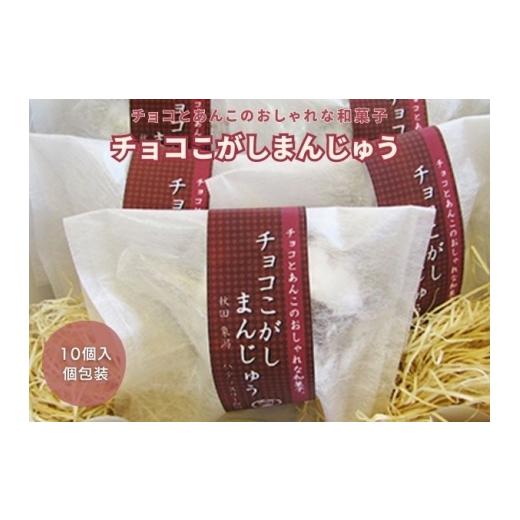 ふるさと納税 菓子 饅頭 秋田県 にかほ市 チョコとこしあんが絶妙 チョコこがしまんじゅう 10個