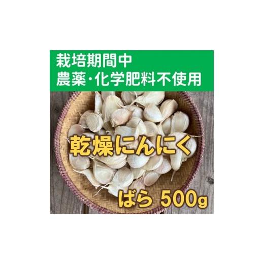 ふるさと納税 野菜類 大分県 臼杵市 ポストに届いて便利 乾燥にんにく ばら(500g) 栽培期間中農薬・化学肥料不使用