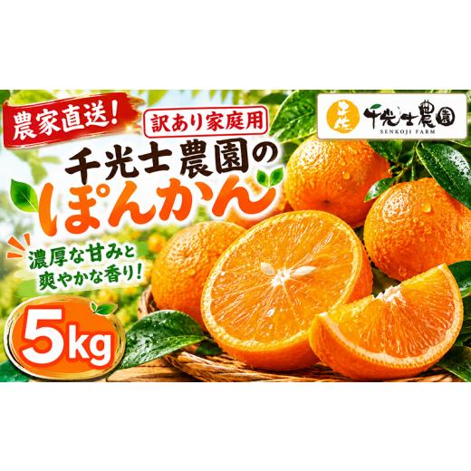 ふるさと納税 みかん・柑橘類 高知県 安芸市 令和9年1月より発送開始 千光士農園のポンカン 5kg 新鮮 みかん mikan 訳あり ワケあり ワケアリ 密柑 ぽんかん …