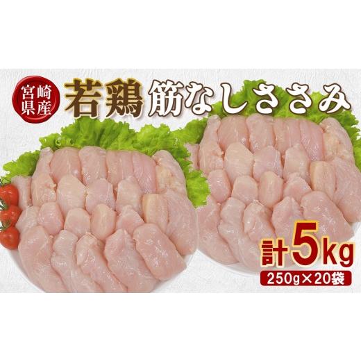 ふるさと納税 鶏肉 ささみ 宮崎県 えびの市 宮崎県産 若鶏筋なしささみ 5kgセット (250g×20袋) 鶏肉 ささみ 鶏ささみ 小分け 真空パック タンパク質 チキン冷…