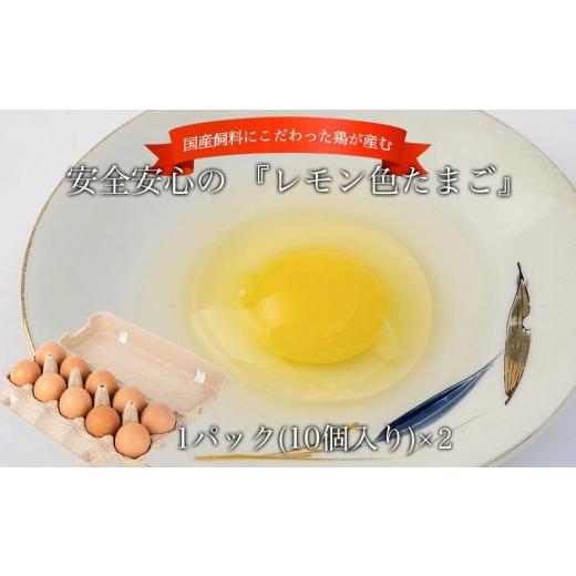 ふるさと納税 卵(鶏、烏骨鶏等) 和歌山県 九度山町 国産飼料にこだわった鶏が産む安全安心の 『レモン色たまご』20個(15個+割れ保証5個) [Hn3]