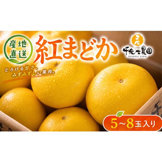 ふるさと納税 みかん・柑橘類 高知県 安芸市 先行受付開始 文旦 紅まどか 5〜8玉入り|訳あり 果物 高知特産 文旦 ぶんたん ブンタン 柑橘 フルーツ 爽やか …