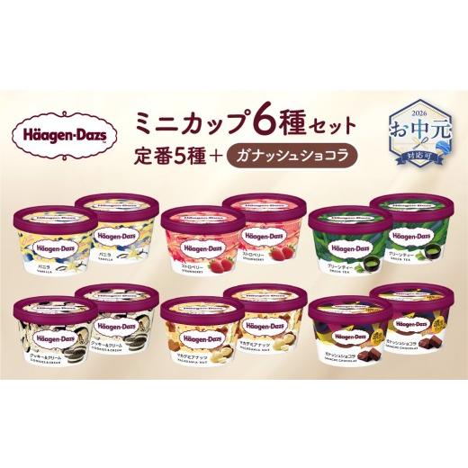 ふるさと納税 菓子 アイス 北海道 浜中町 お中元(7月発送) ハーゲンダッツ『ミニカップ12個セット(定番フレーバー&新商品 ガナッシュショコラ)』アイスク…