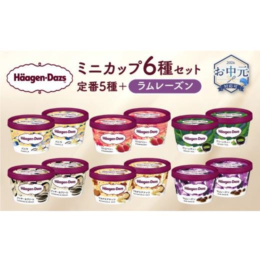 ふるさと納税 菓子 アイス 北海道 浜中町 お中元(7月発送) ハーゲンダッツ『ミニカップ12個セット(定番フレーバー&ラムレーズン味)』アイスクリーム アイ…