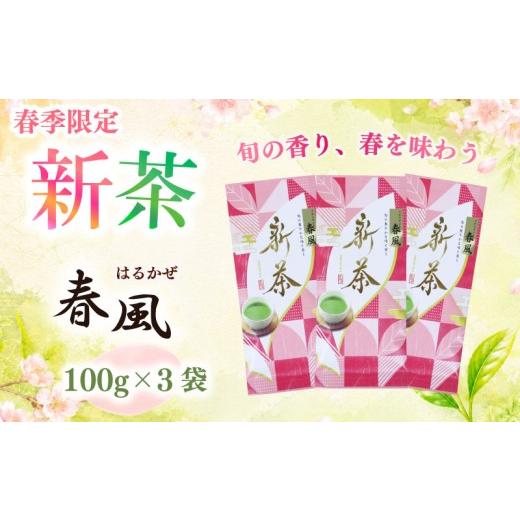 ふるさと納税 お茶類 緑茶(茶葉・ティーバッグ) 静岡県 牧之原市 2026年度産 新茶 春風100g×3袋 お茶 静岡 新茶 濃旨 緑茶 深蒸し茶 深蒸し 茶 水出し緑茶 …