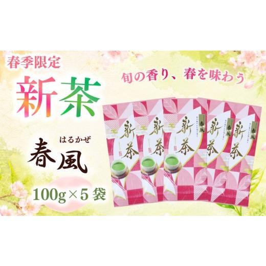 ふるさと納税 お茶類 緑茶(茶葉・ティーバッグ) 静岡県 牧之原市 先行予約 2026年度産 新茶 春風100g×5袋 高級 お中元 父の日 お茶 静岡 新茶 濃旨 緑茶 …