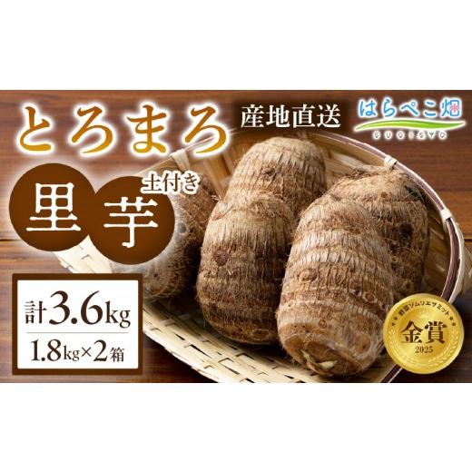 ふるさと納税 野菜類 愛知県 西尾市 粘りと甘みが段違い 里芋『とろまろ』土付き・1.8kg 2箱・H119 1.8kg×2箱(3.6kg)/17,000円