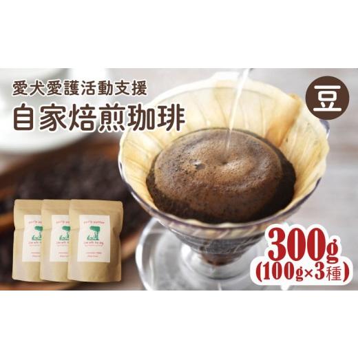 ふるさと納税 コーヒー コーヒー豆 京都府 京丹波町 店主おまかせ 自家焙煎珈琲豆 3種 300g 豆 100g×3種 ann's cafe ( ブレンドコーヒー コーヒー コー…