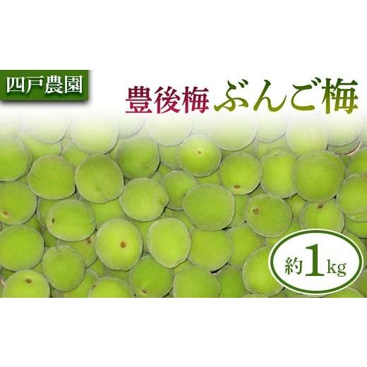 ふるさと納税 果物類 青森県 南部町 豊後梅(ぶんごうめ) 約1kg 四戸農園 梅 梅干し 杏 あんず 梅酒 梅干 梅シロップ 梅ジャム 1キロ 数量限定 F21U-693