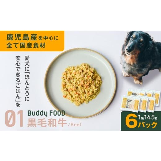 ふるさと納税 牛肉 鹿児島県 鹿児島市 Buddy FOOD 01 黒毛和牛×6パック K390-001_01 (1)黒毛和牛