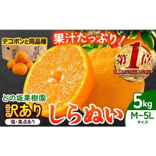 ふるさと納税 みかん・柑橘類 デコポン 和歌山県 日高町 2027年先行予約 訳あり 熟成貯蔵不知火(しらぬい) 約5kg (M〜5Lサイズ) どの坂果樹園[2027年2月上旬…
