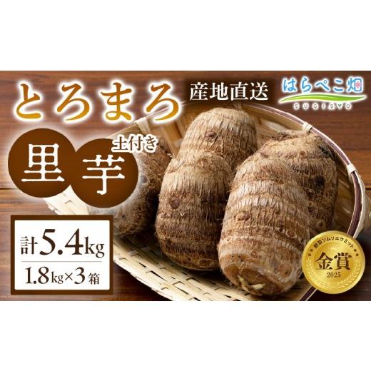 ふるさと納税 野菜類 愛知県 西尾市 粘りと甘みが段違い 里芋『とろまろ』土付き・1.8kg 3箱・H120 1.8kg×3箱(5.4kg)/24,000円