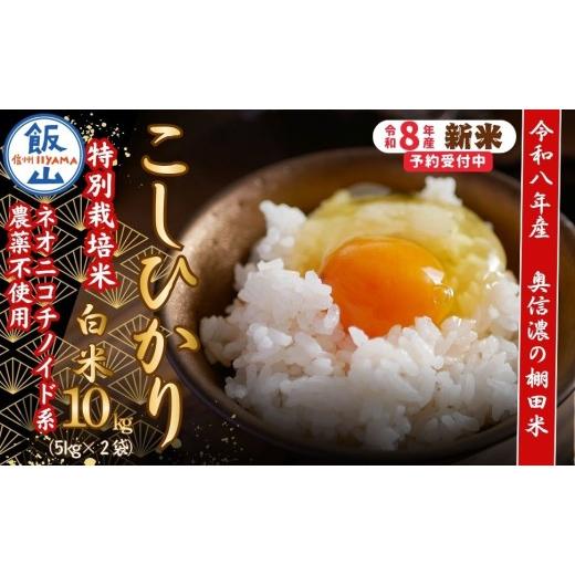 ふるさと納税 米 コシヒカリ 長野県 飯山市 令和8年産 新米 特別栽培米 こしひかり 精米 10kg 『奥信濃の棚田米 実の里』 |お米 コメ 白米 ご飯 長野県 信州…