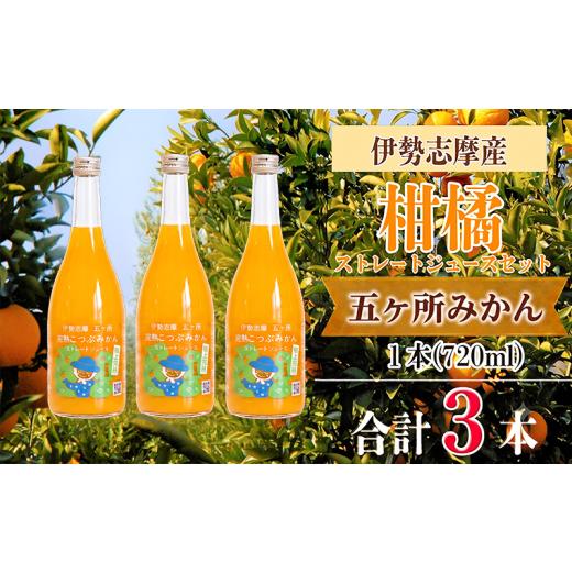 ふるさと納税 果汁飲料 みかん 三重県 南伊勢町 「完熟こつぶみかん」100%ストレートジュース(720ml×3本) 三重県南伊勢町/土実樹農園 くだもの 果物 フル…