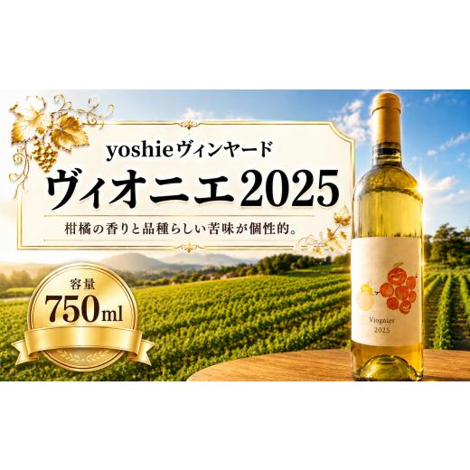 ふるさと納税 ワイン 白ワイン 長野県 塩尻市 チョイス限定 yoshieヴィンヤード ヴィオニエ2025| ワイン わいん チョイス限定 白 白ワイン お酒 おさけ 酒 …