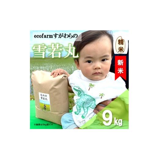 ふるさと納税 米 山形県 三川町 令和8年産・精米 ecofarmすがわらの庄内米雪若丸9kg 10月上旬頃から順次配送 令和8年産・精米