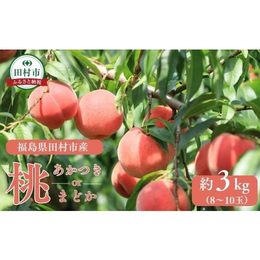 ふるさと納税 もも 福島県 田村市 桃 もも 3kg まどか あかつき 農家直送 モモ 果物 フルーツ 旬 甘い 果肉 新鮮 フレッシュ デザート おいしい 白桃 くだもの…