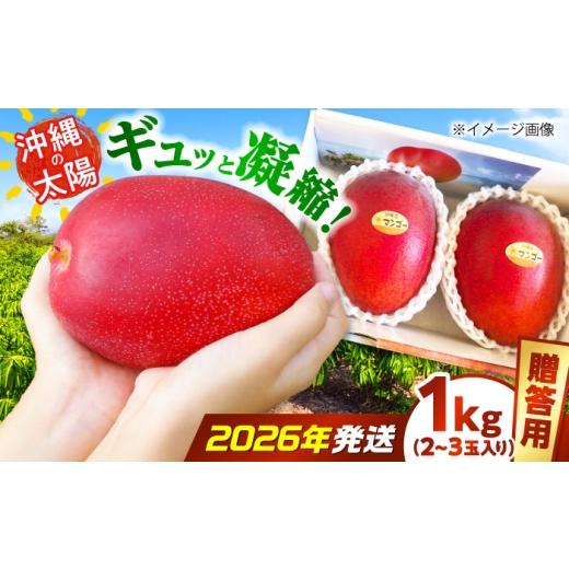 ふるさと納税 マンゴー 沖縄県 沖縄市 2026年7月上旬より順次発送 贈答用 沖縄市産マンゴー「太陽のめぐみ」 1kg(2〜3玉) (化粧箱入り) 南国フルーツ 産地直…