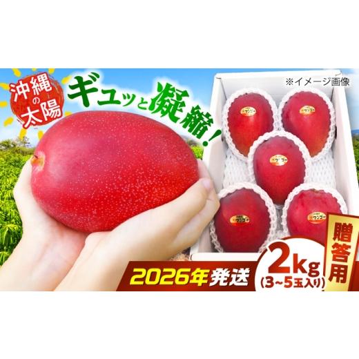ふるさと納税 マンゴー 沖縄県 沖縄市 2026年7月上旬より順次発送 贈答用 沖縄市産マンゴー「太陽のめぐみ」 2kg(3〜5玉) (化粧箱入り) 南国フルーツ 産地直…
