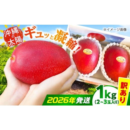 ふるさと納税 マンゴー 沖縄県 沖縄市 2026年7月上旬より順次発送 訳あり 沖縄市産マンゴー「太陽のめぐみ」 1kg(2〜3玉) 南国フルーツ 産地直送 新鮮 沖縄県…