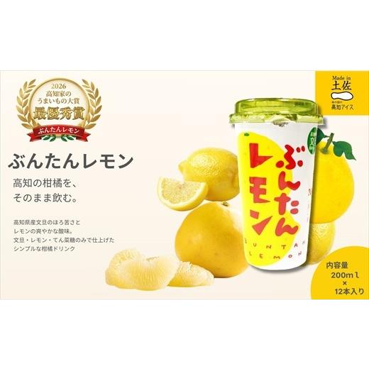 ふるさと納税 果汁飲料 高知県 いの町 ぶんたんレモン ストロータイプ 200ml 12本入り(高知アイス)