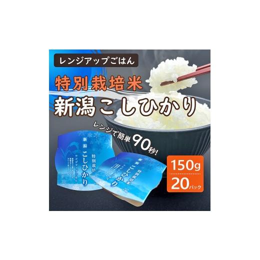 ふるさと納税 米 コシヒカリ 新潟県 胎内市 パックご飯 150g×20個入り 新潟県胎内市産 特別栽培コシヒカリ