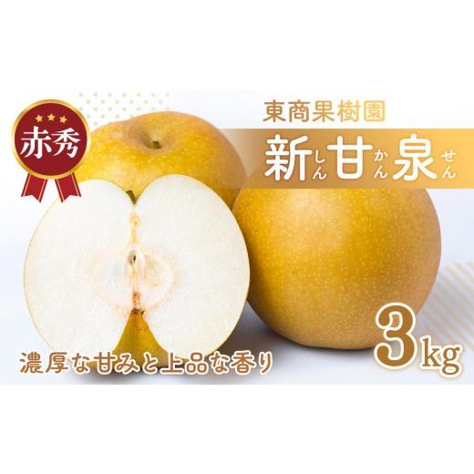 ふるさと納税 梨 鳥取県 琴浦町 東商果樹園 新甘泉 (赤秀) 3kg 8月下旬以降お届け