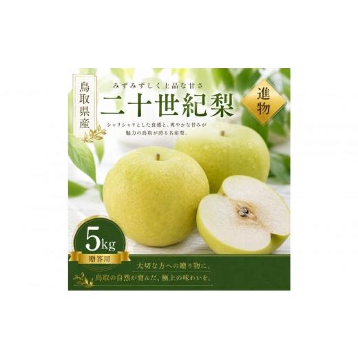 ふるさと納税 梨 鳥取県 琴浦町 有梨の実石田 二十世紀梨 (ギフト用)5kg 8月下旬以降お届け