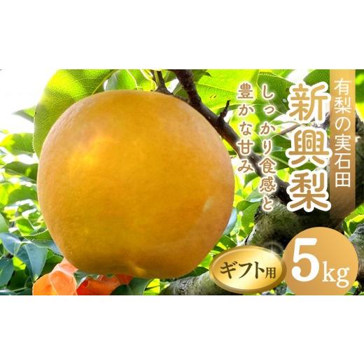 ふるさと納税 梨 鳥取県 琴浦町 有梨の実石田 新興梨 (ギフト用)5kg 10月頃お届け