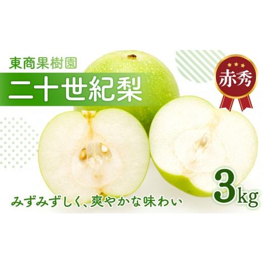 ふるさと納税 梨 鳥取県 琴浦町 東商果樹園 二十世紀梨 (赤秀) 3kg 8月下旬以降お届け