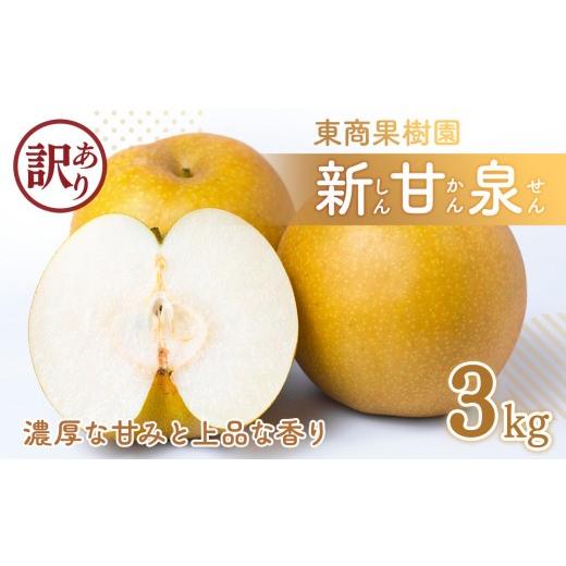 ふるさと納税 梨 鳥取県 琴浦町 東商果樹園 新甘泉 (訳あり) 3kg 8月下旬以降お届け