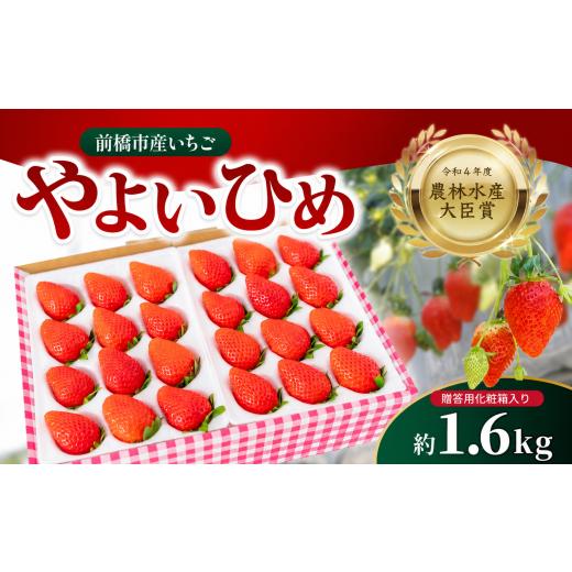 ふるさと納税 いちご 群馬県 前橋市 いちご やよいひめ 1.6kg 朝採れ 化粧箱 農林水産大臣賞受賞 2027年 先行予約 大容量 | 非日常 贈答用 イチゴ 苺 高品質 …